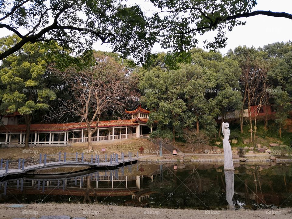 Tree, Wood, No Person, House, Building