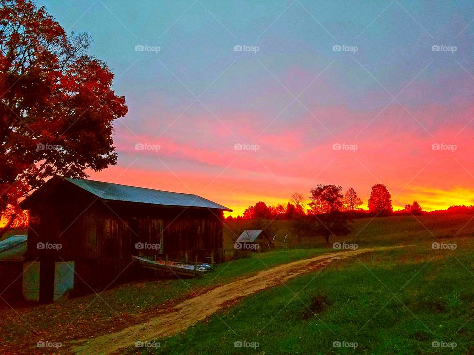 The Barn at Dawn