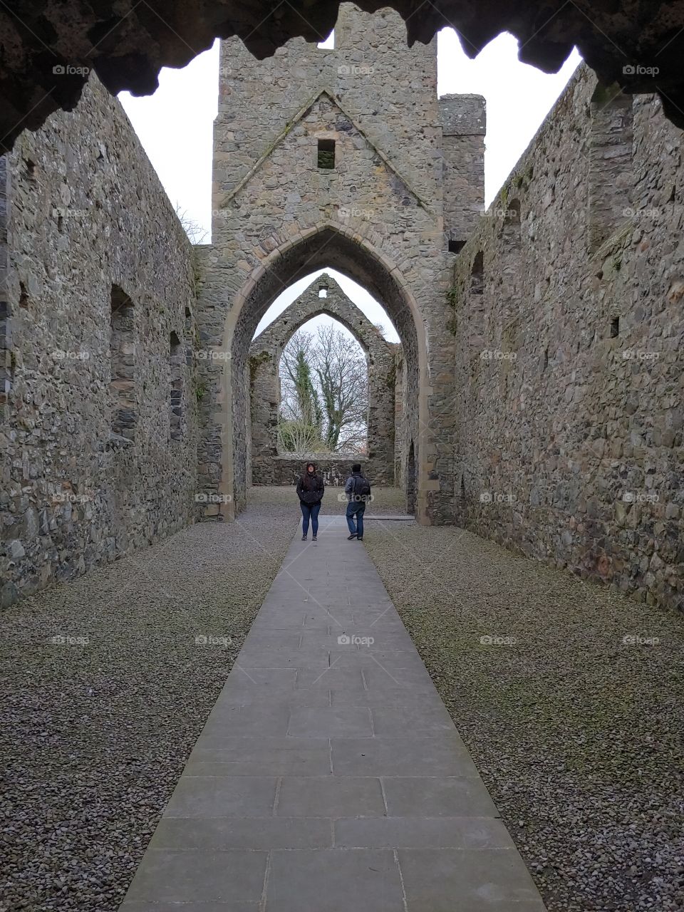 Carlingford Priory, Ireland
