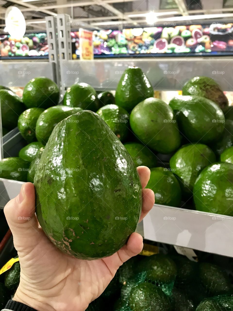 Large avocado pear