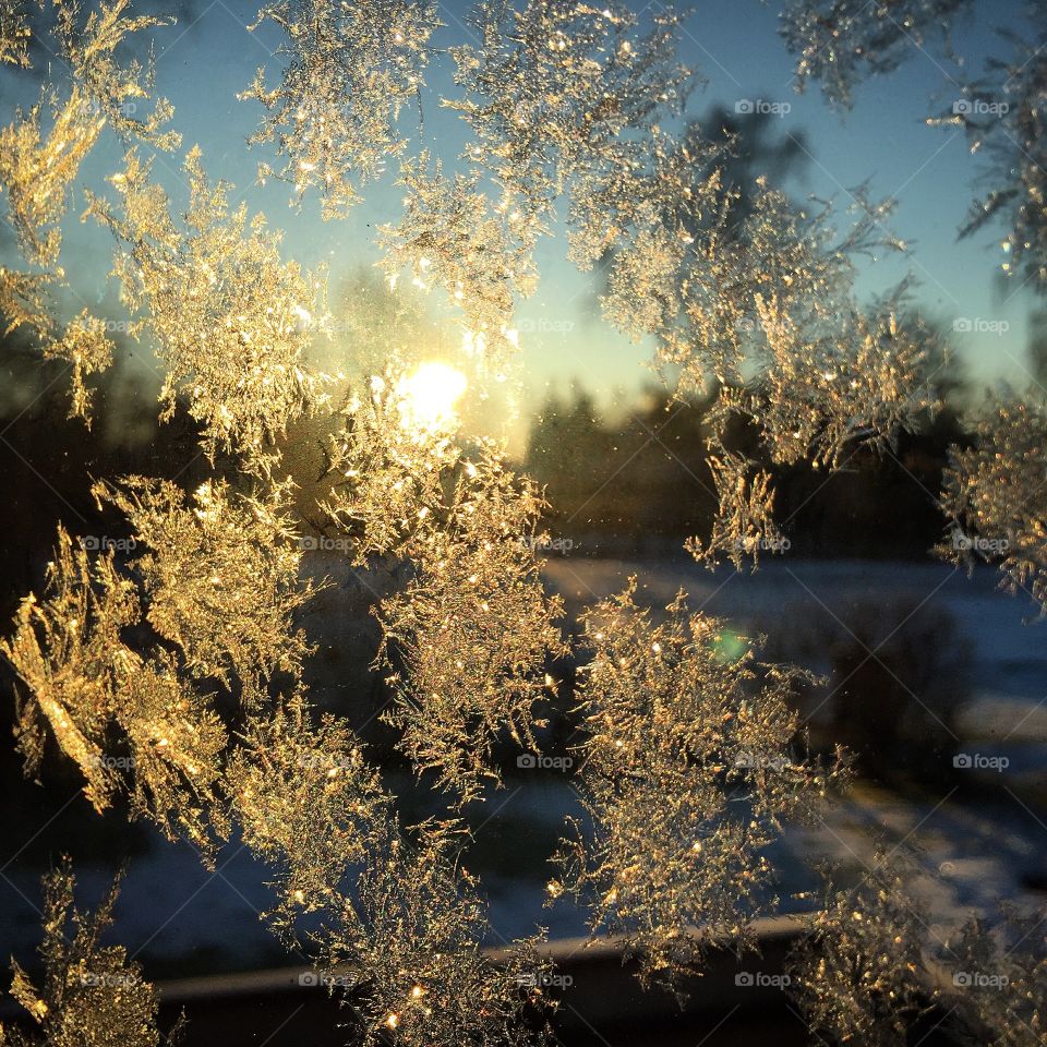 Svensk vinter