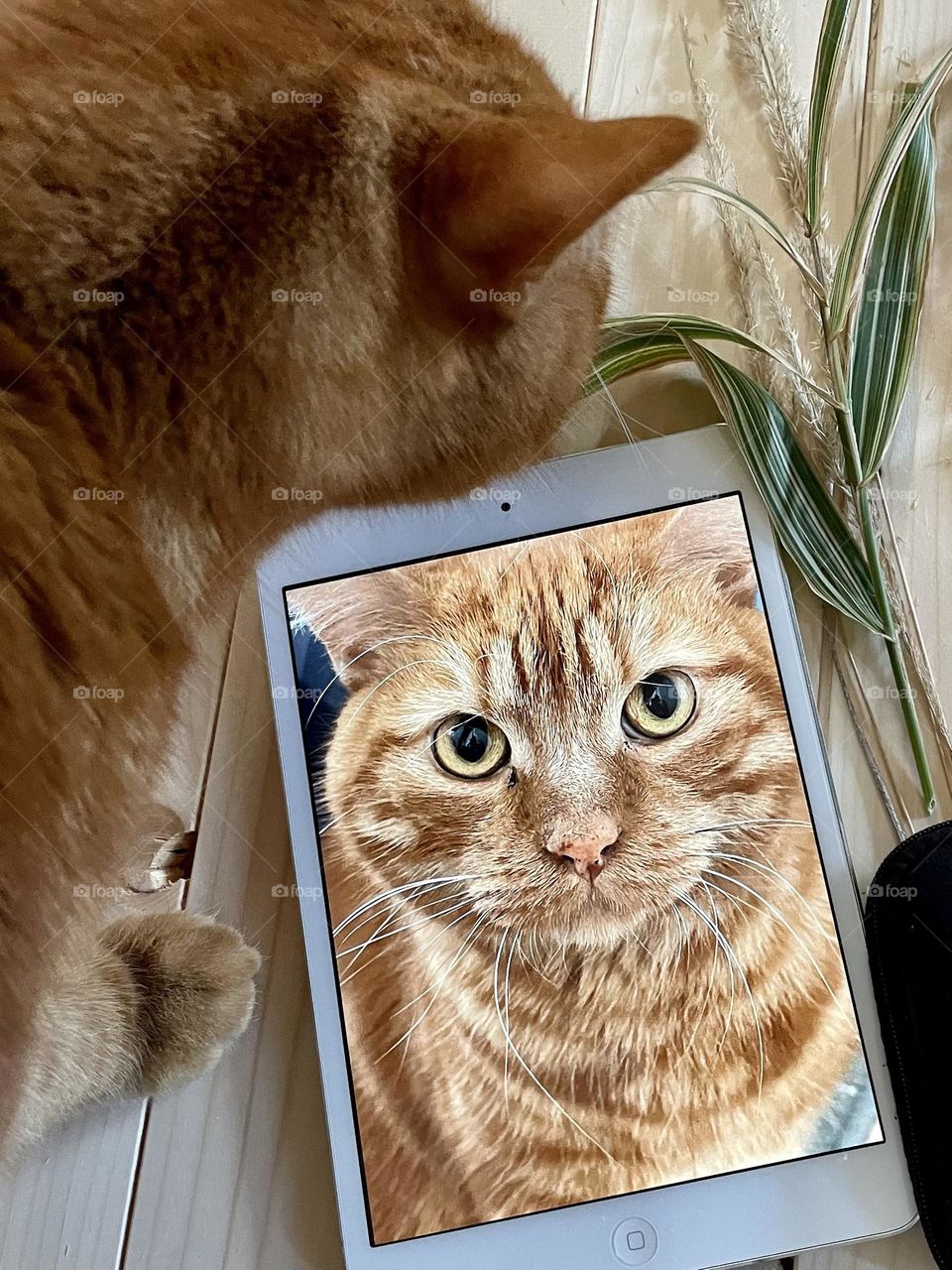 IPad mini 16GB silver…