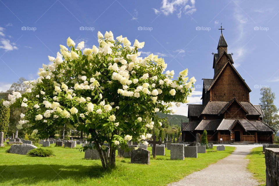 Heddal Stave Church is Norway’s biggest stave Church. It was built ca. 1250.