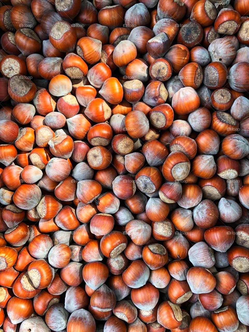 Shelling Nut