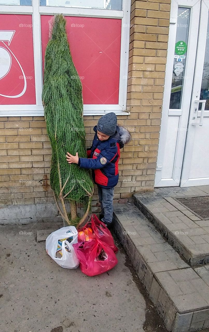 A boy and his xmas tree.