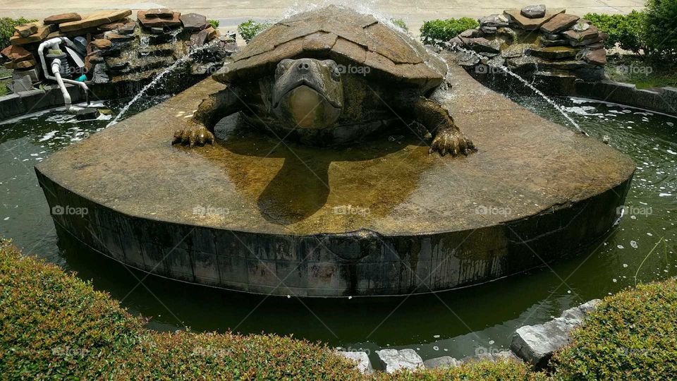 Turtle Fountain in Houston