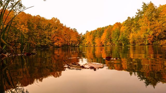 Autumn