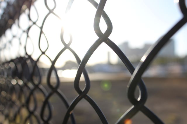 Chain Link