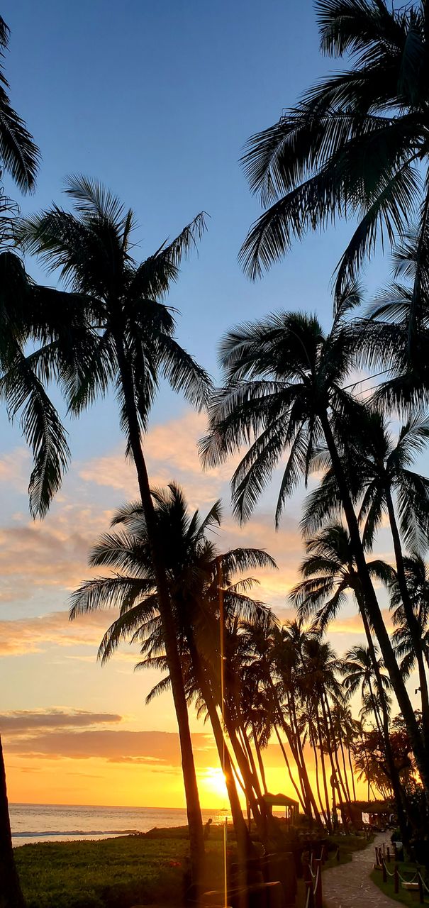 Sunday sunset