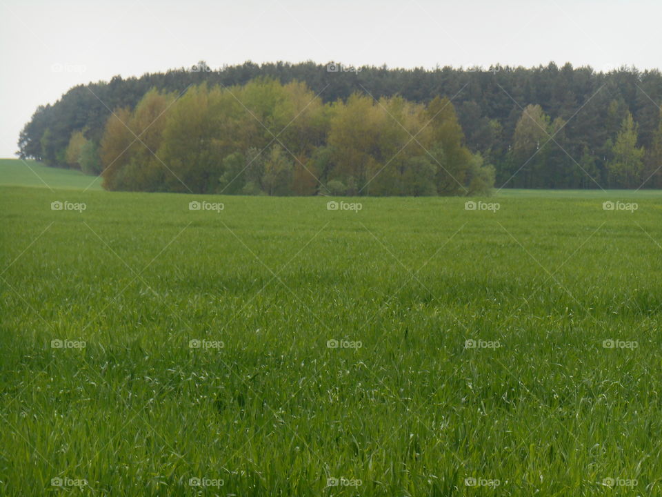 Landscape, Field, Farm, Rural, Agriculture