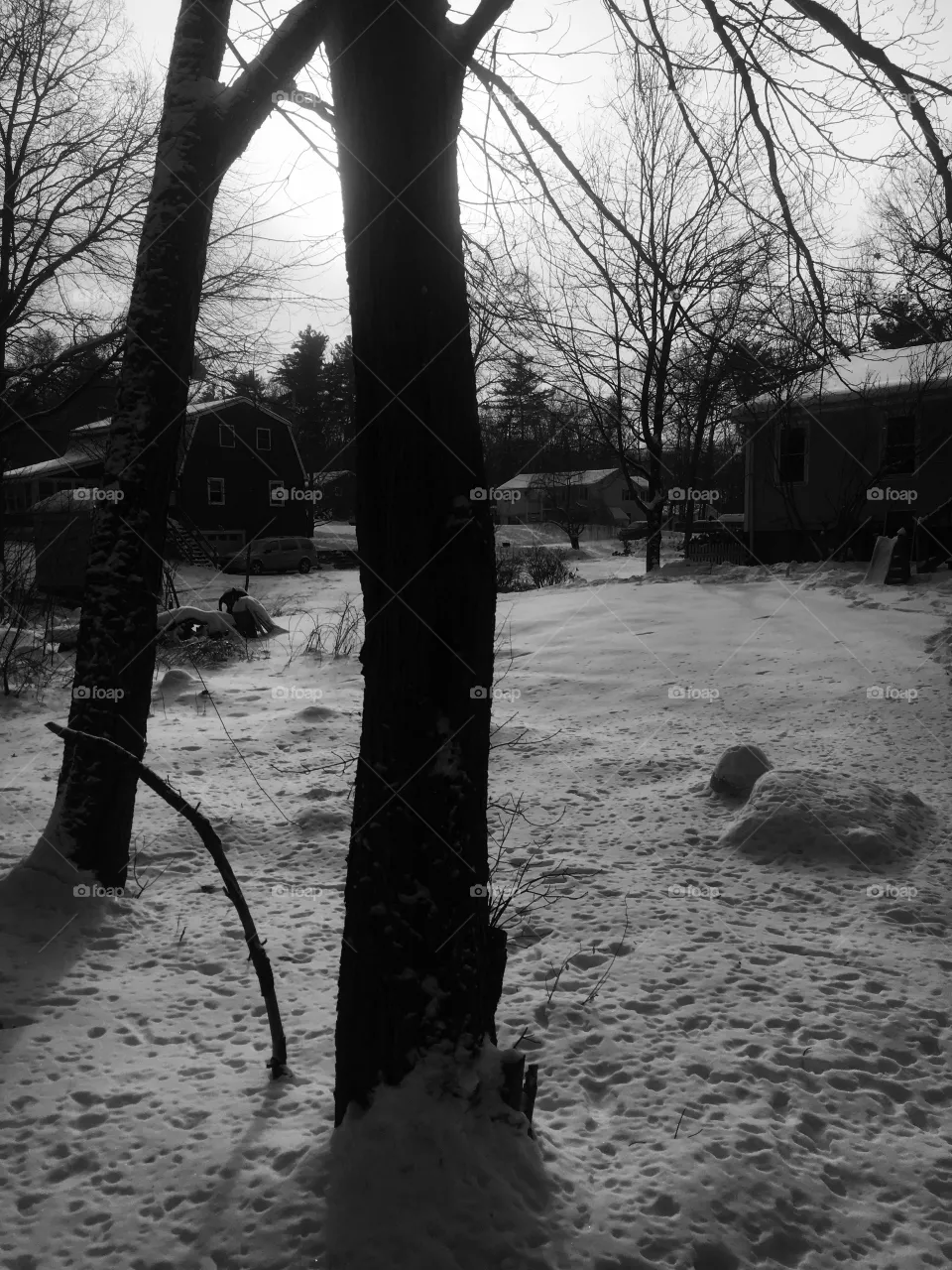 Snow 