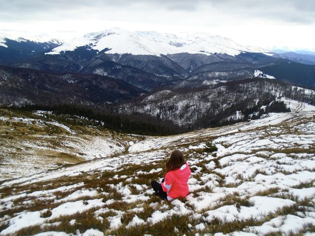 Winter landscape 