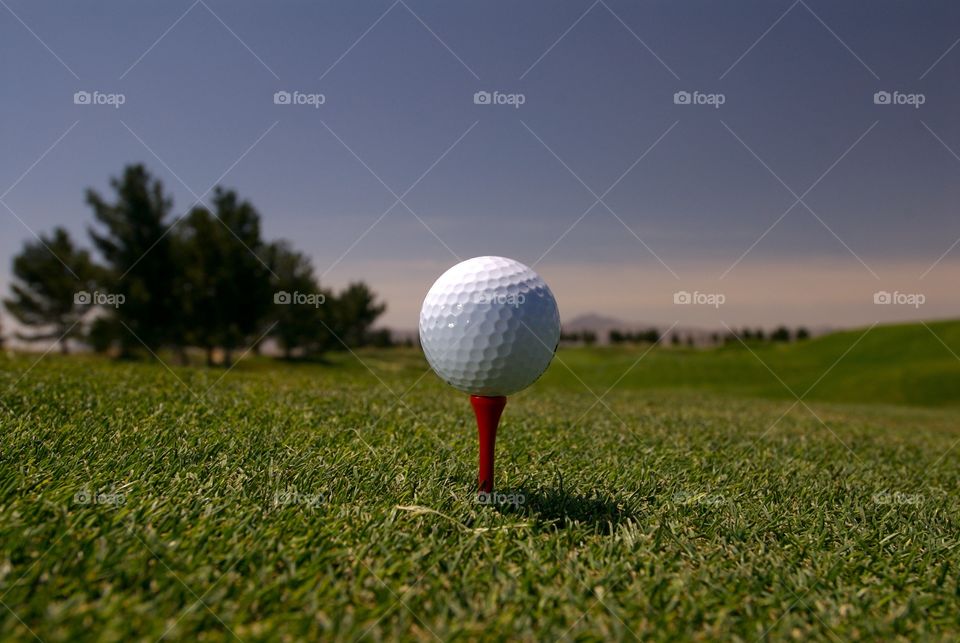 Golf ball in tee box on red tee