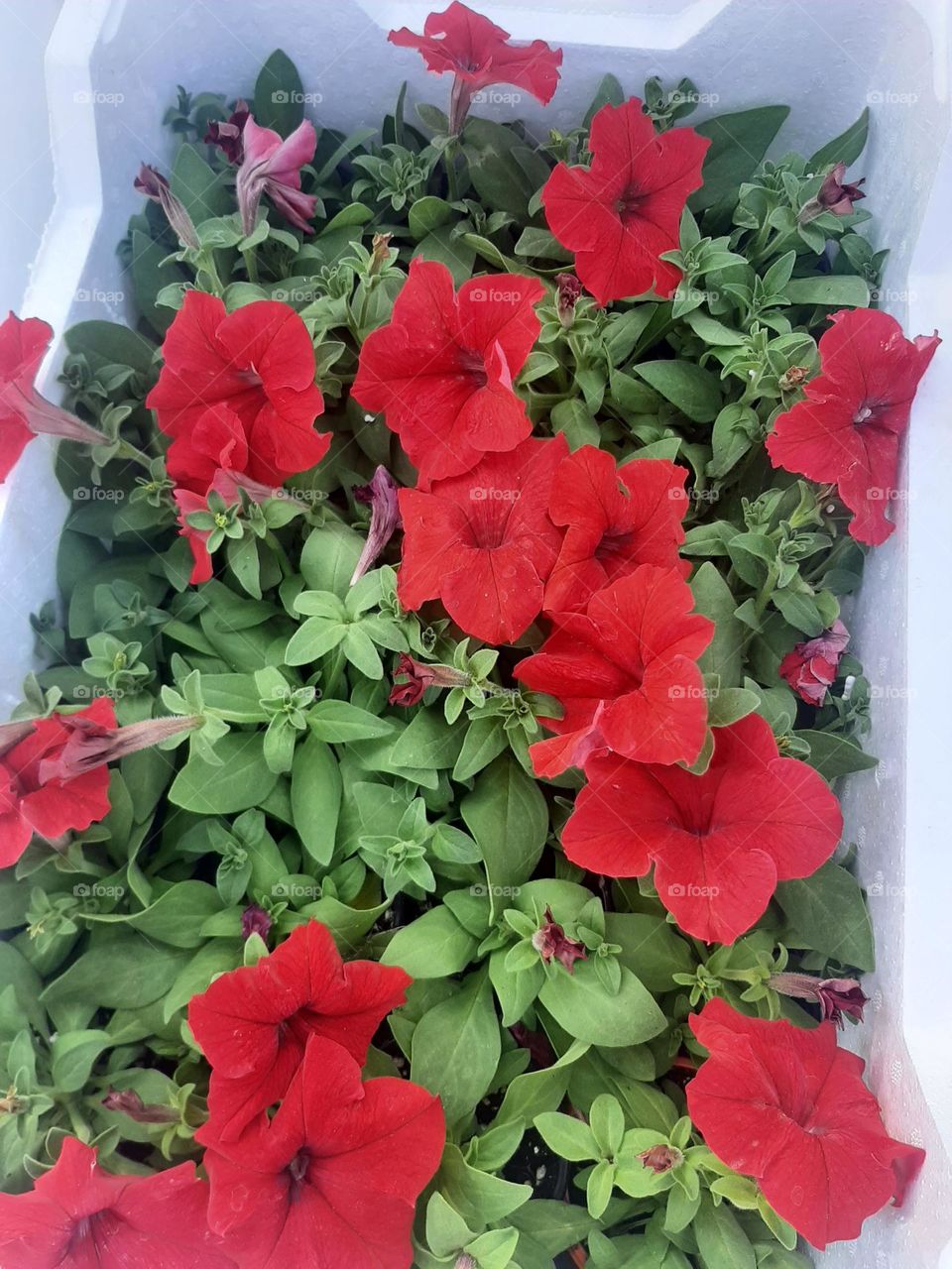 Please make me happy, I am poor, I need your help with support