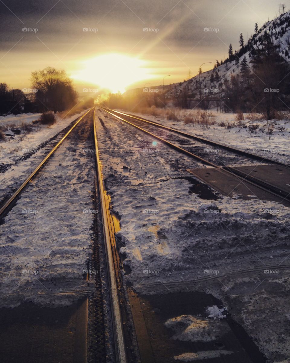 Tracks at dawn