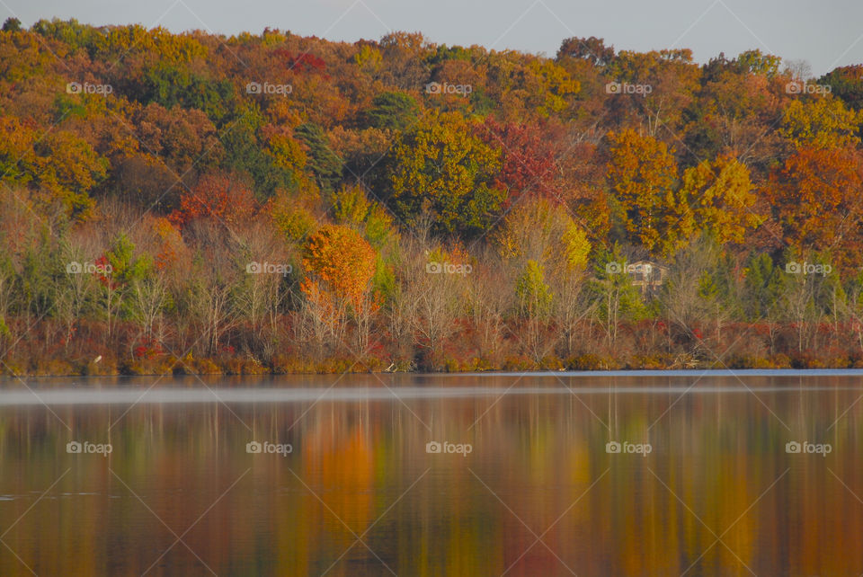 Autumn trees reflections in lake
