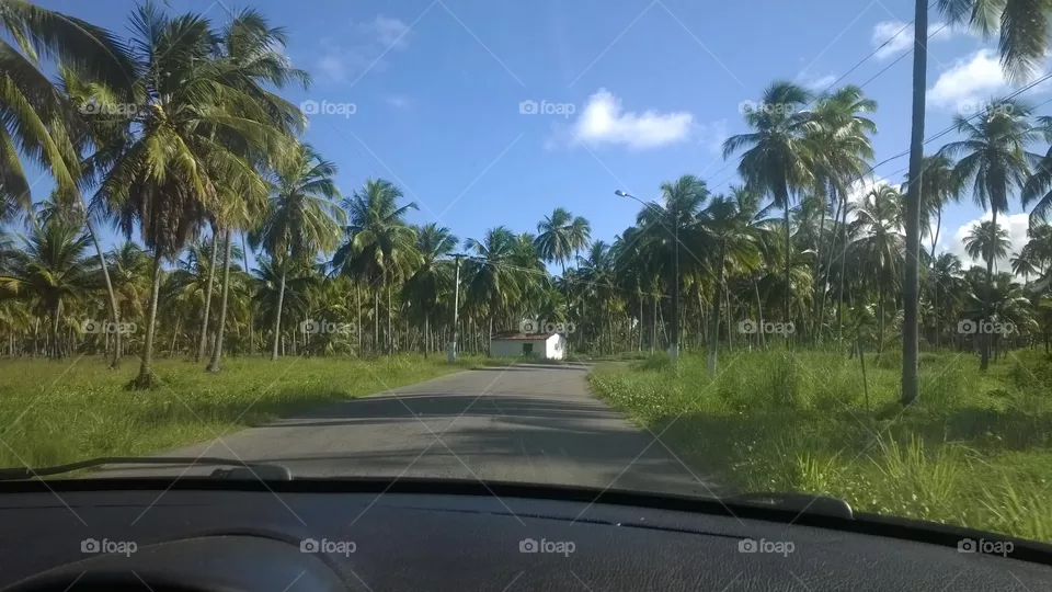 Road