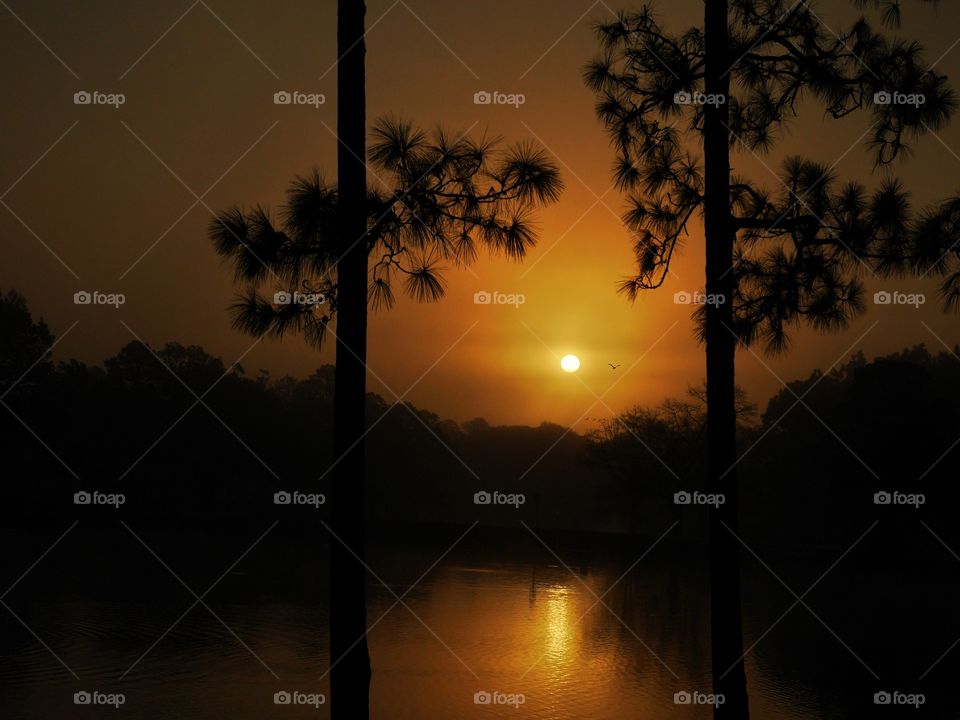 Dramatic sunset at lake