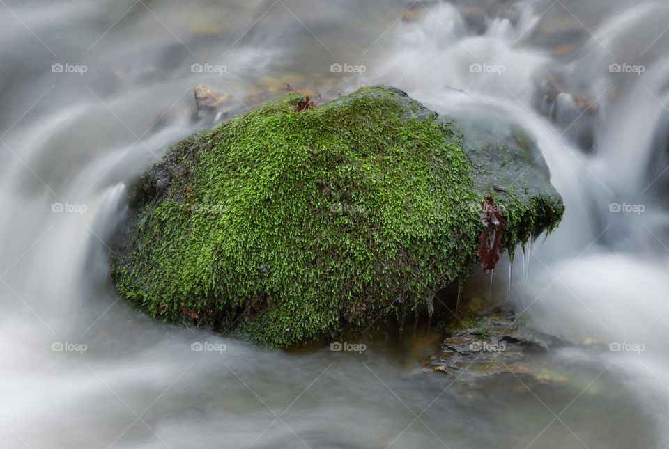 Stream flows through mossy rock.