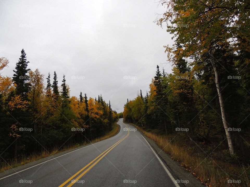 Empty road during autumn