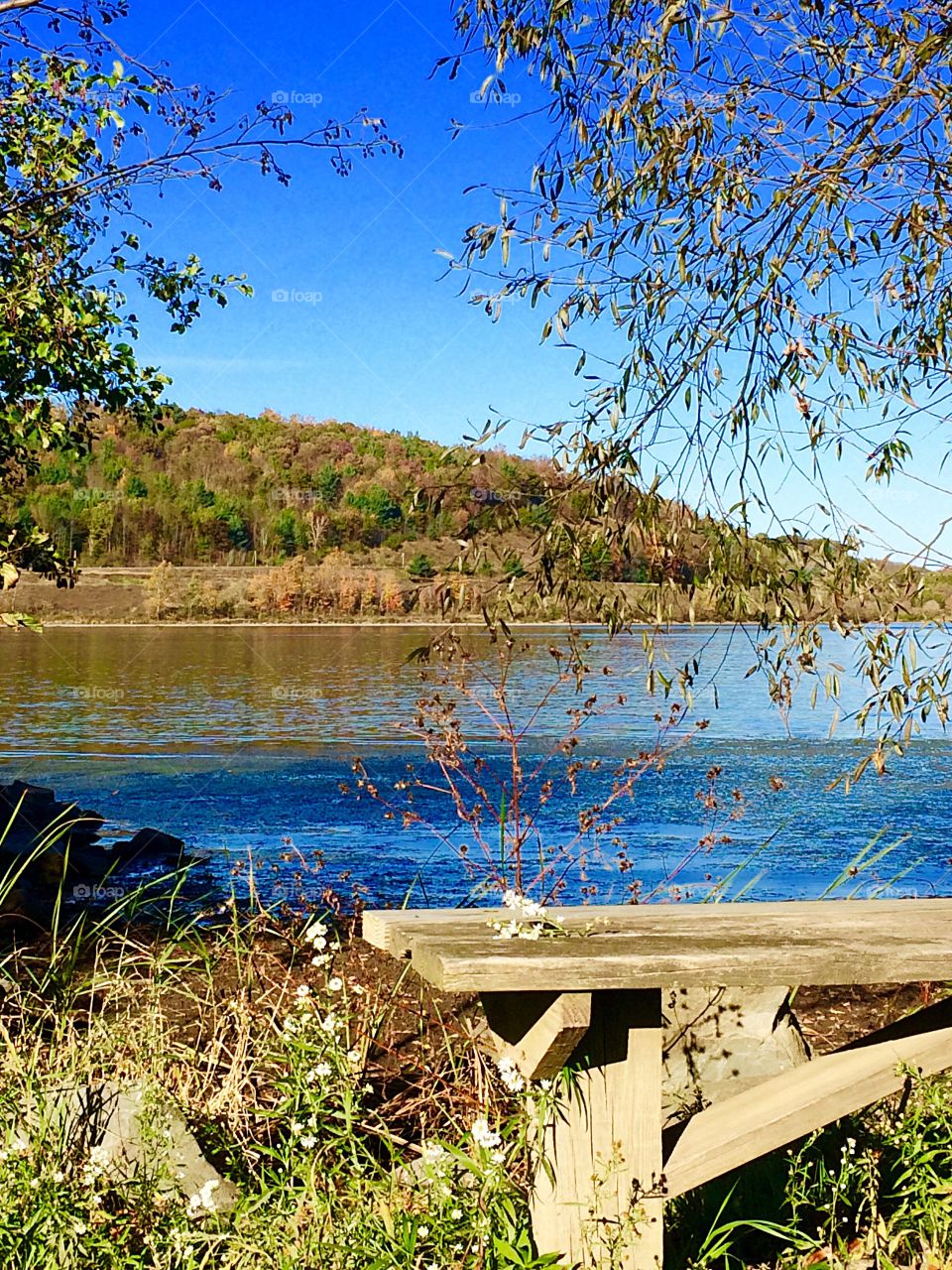 Autumn At The Lake 