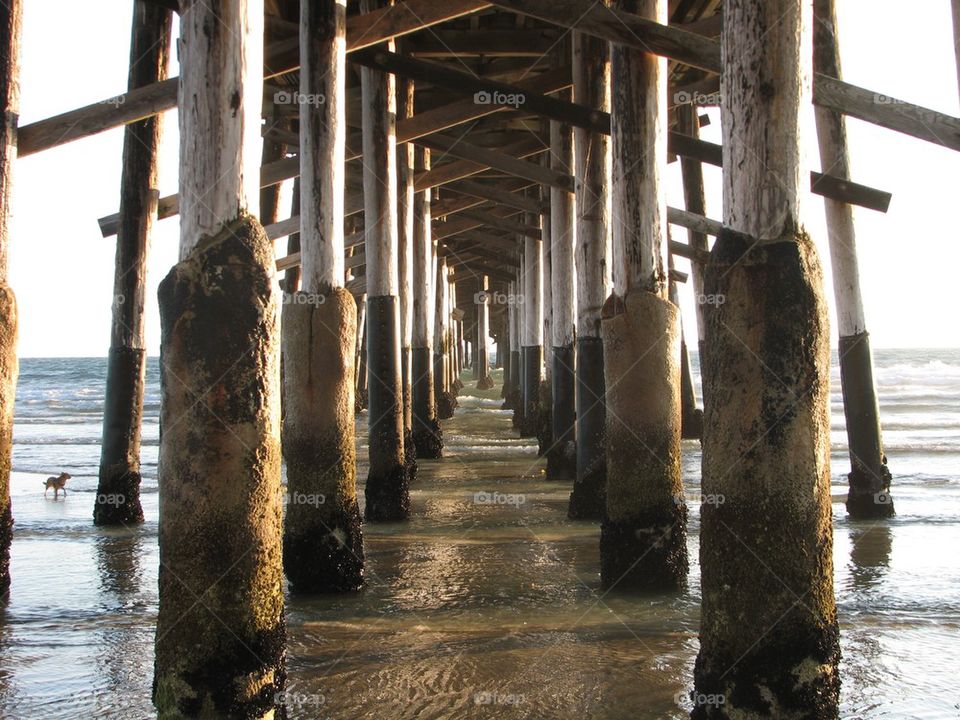 Under the Newport Beach Pier