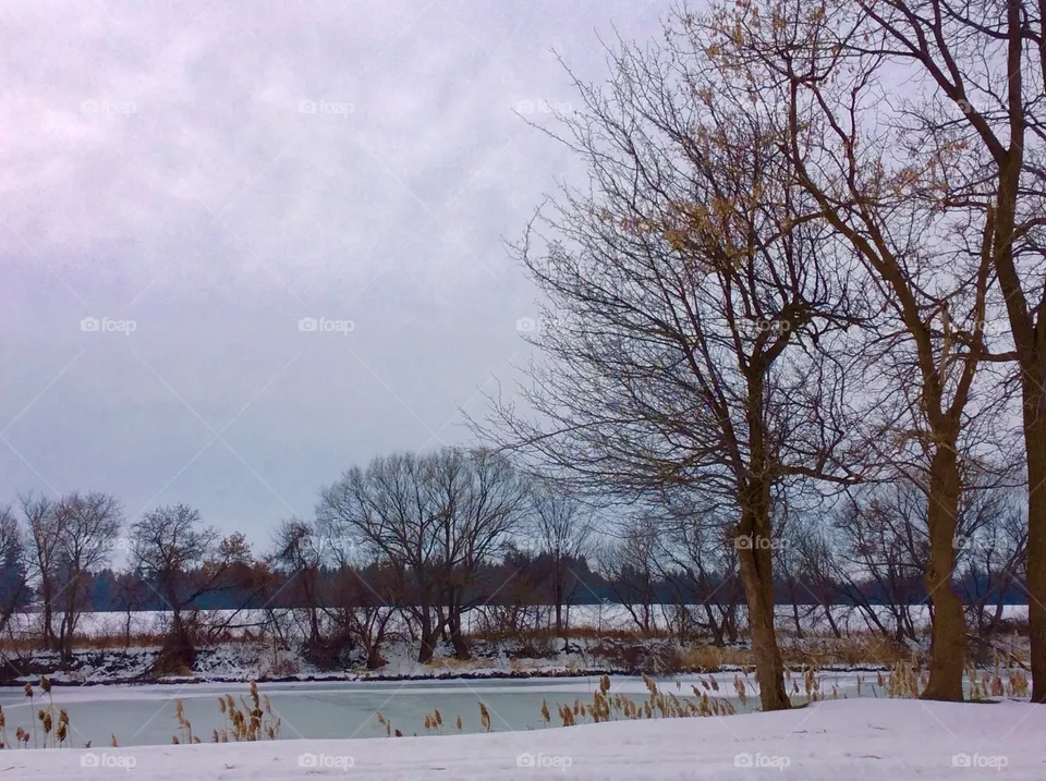 River Bank