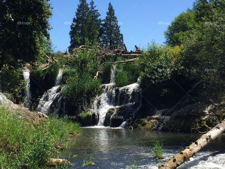 Tumwater falls in the summer