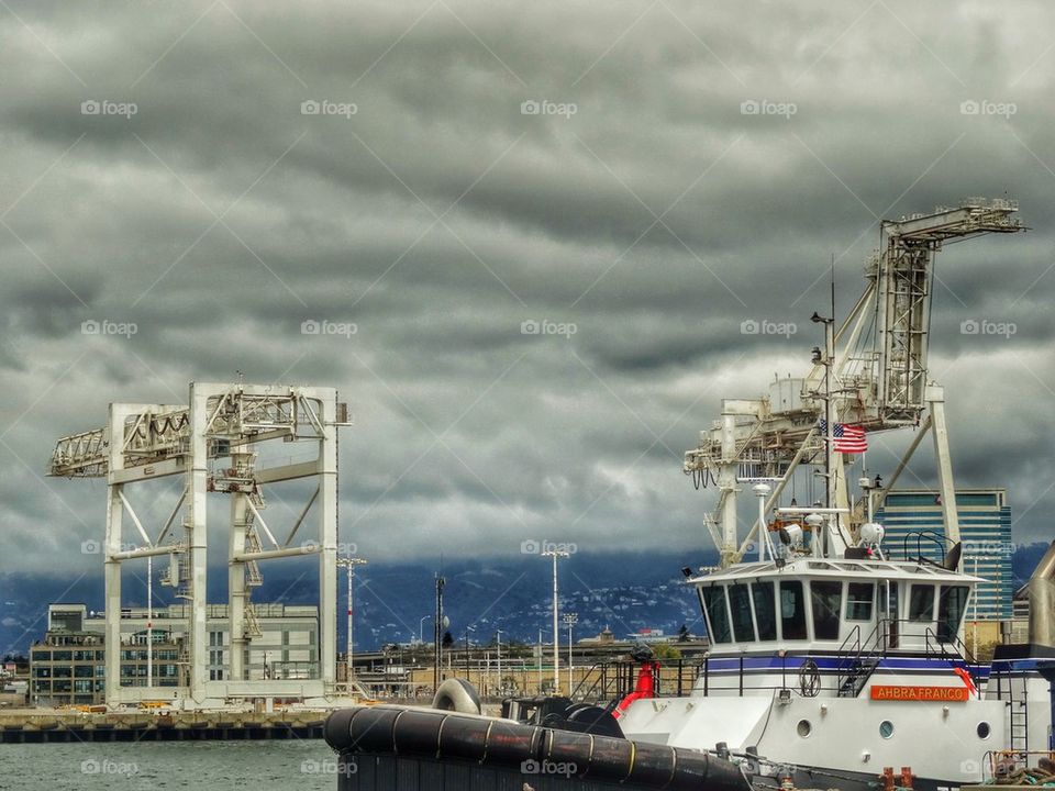 Busy Commercial Sea Port. Huge Steel Cargo Cranes At The Port Of Oakland