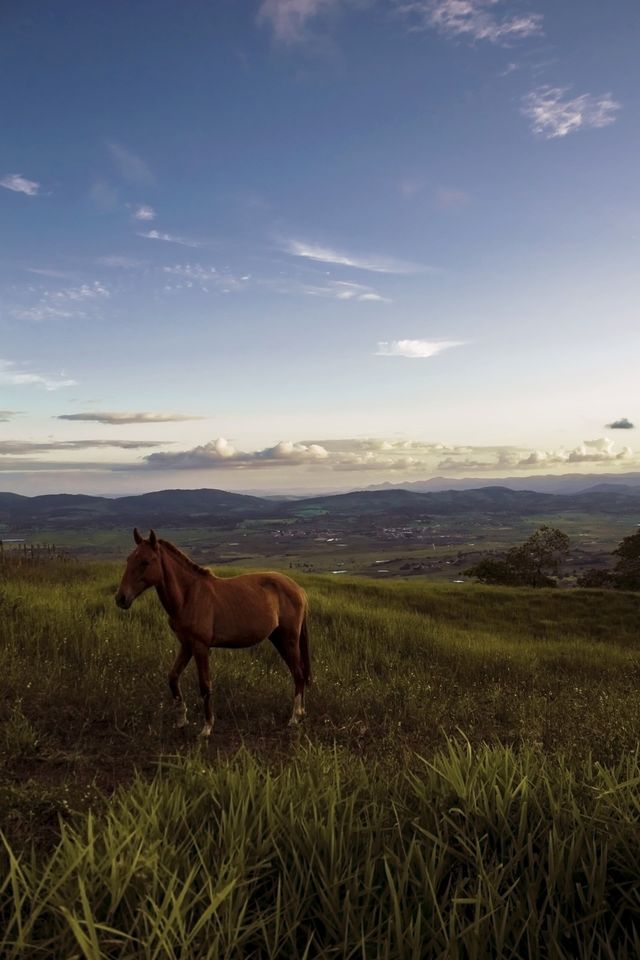 Brazilian countryside