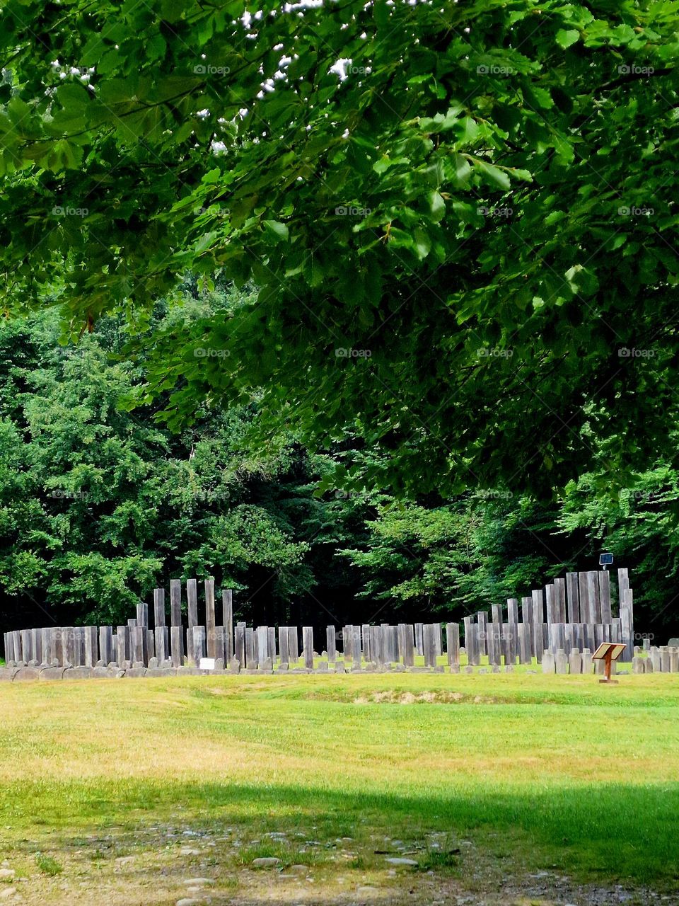 archaeological site in the middle of the forest