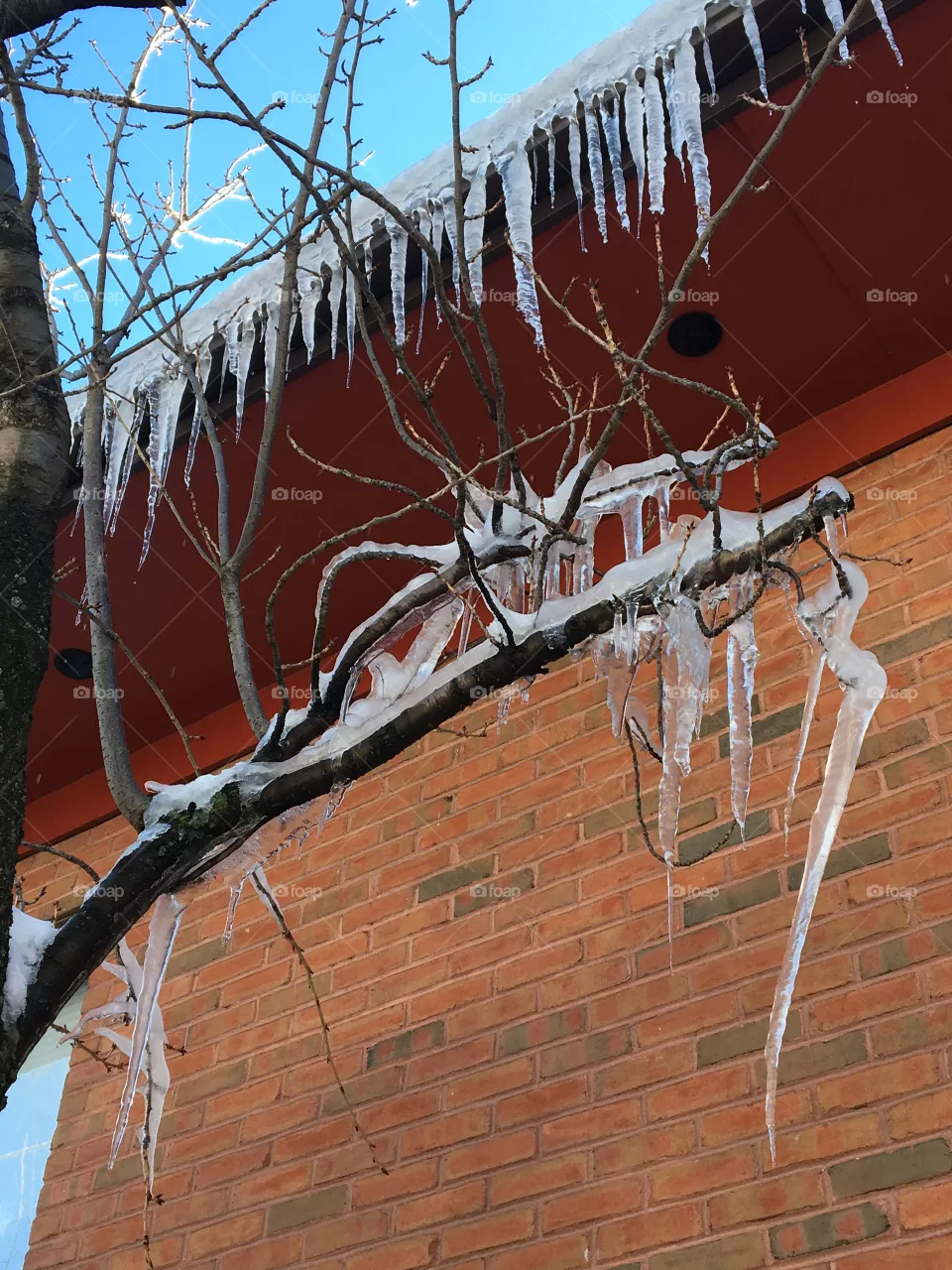 Icycle