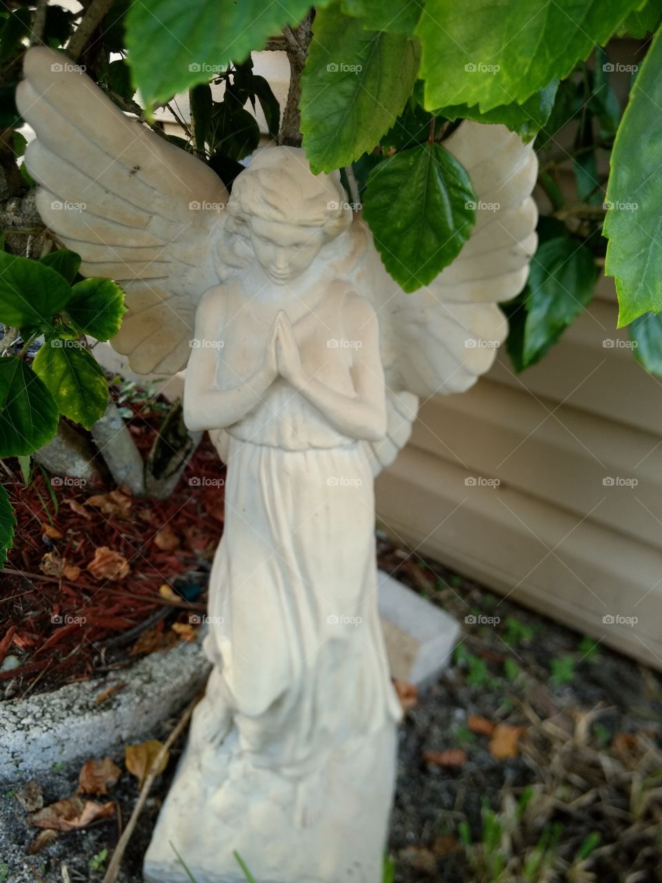 Guardian Angel