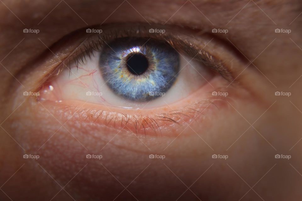 Close up of blue eye looking into camera.