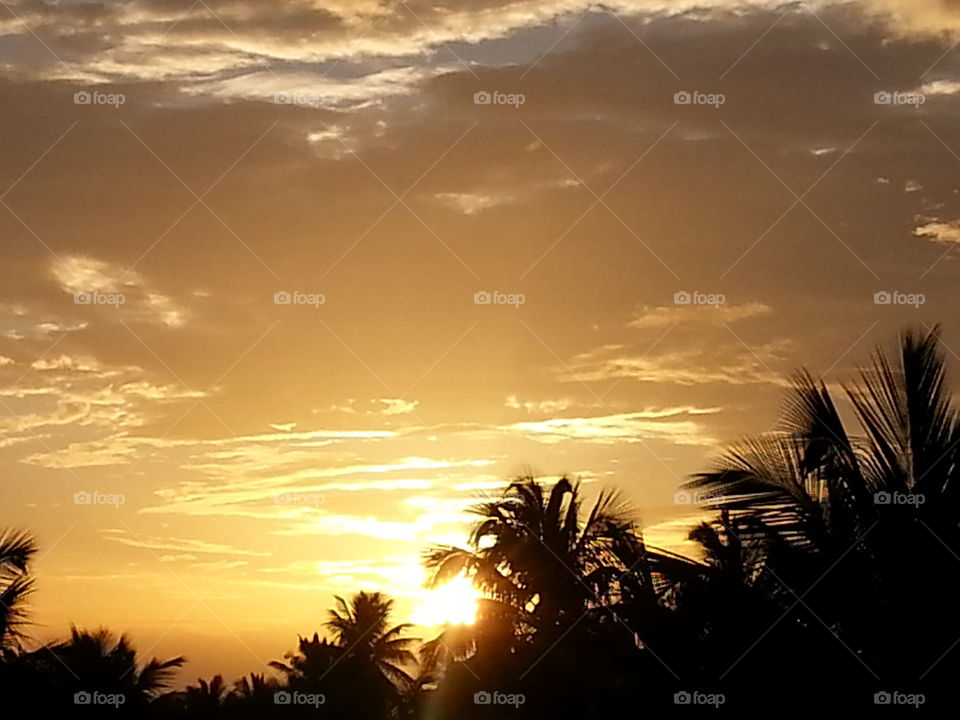 sun's sunset. sunset in my cam