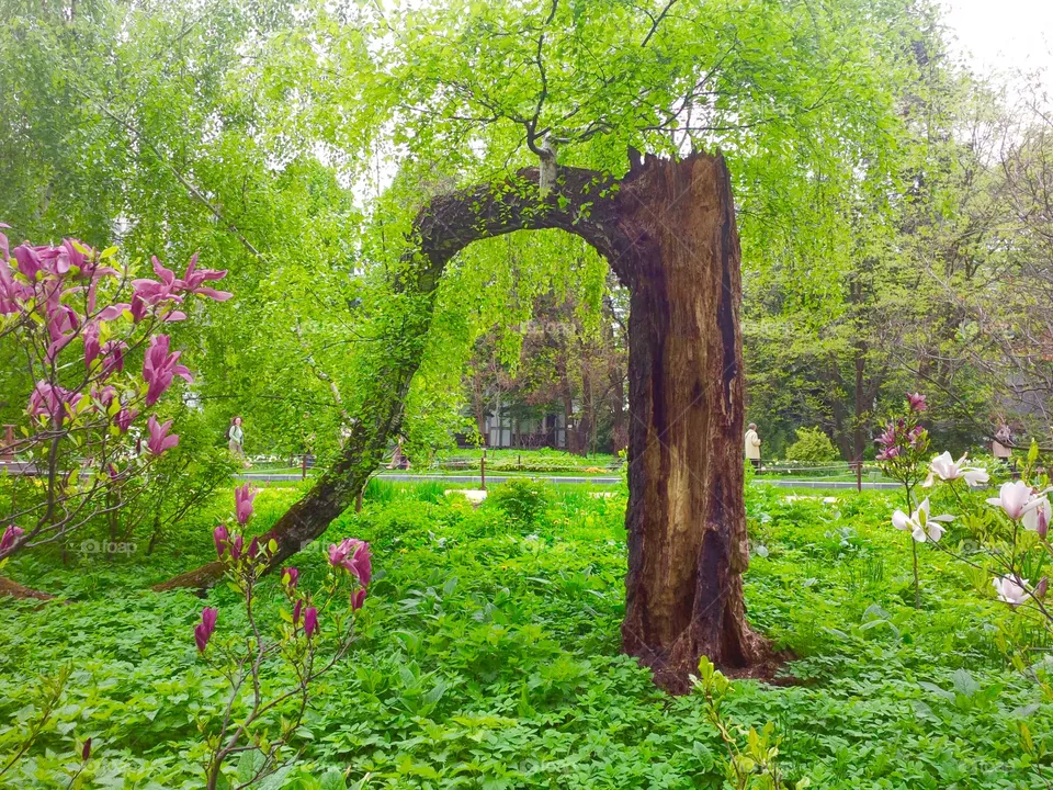 Nature