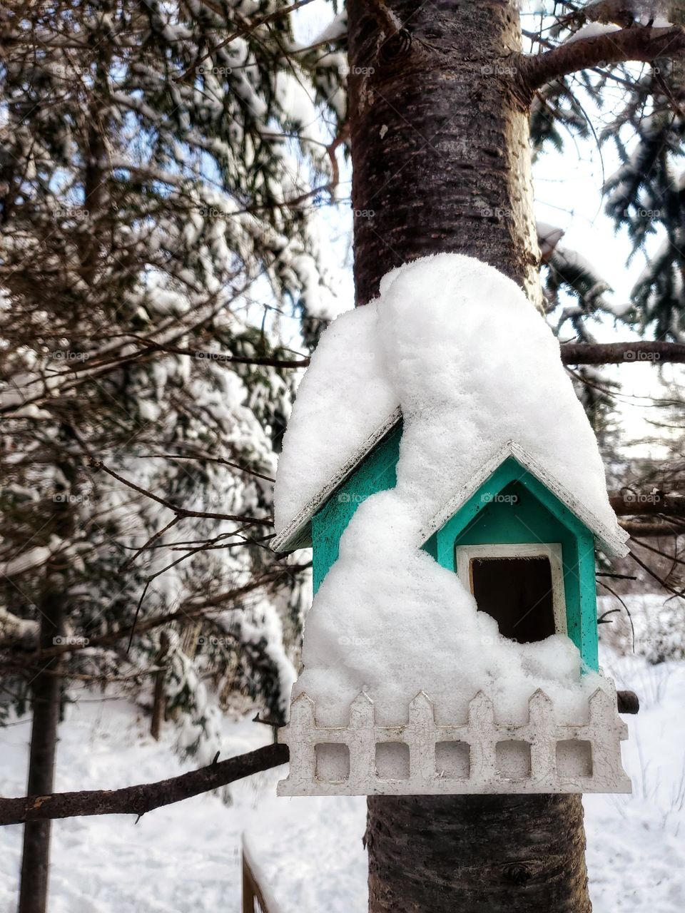 First snowfall: snow covered birdhouse.
