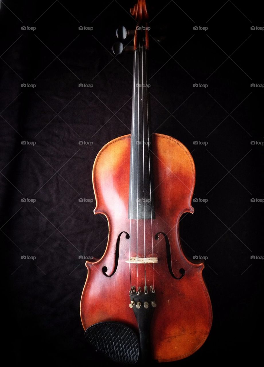 Violin