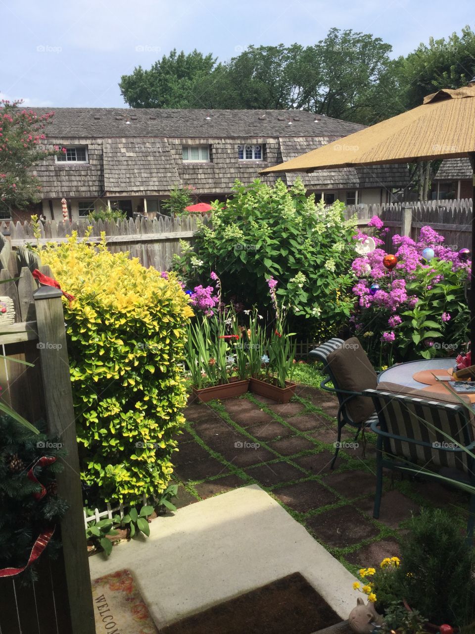 Backyard patio in July  