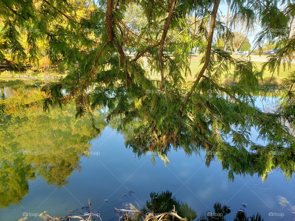 reflection in the water autumn