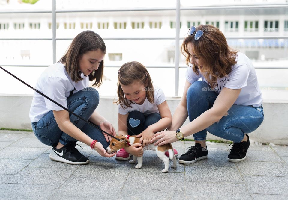 walking the dog down the street, the owner walks the weakling, teaches her, cleans up after her, educates, plays with his pet. people and dogs are best friends