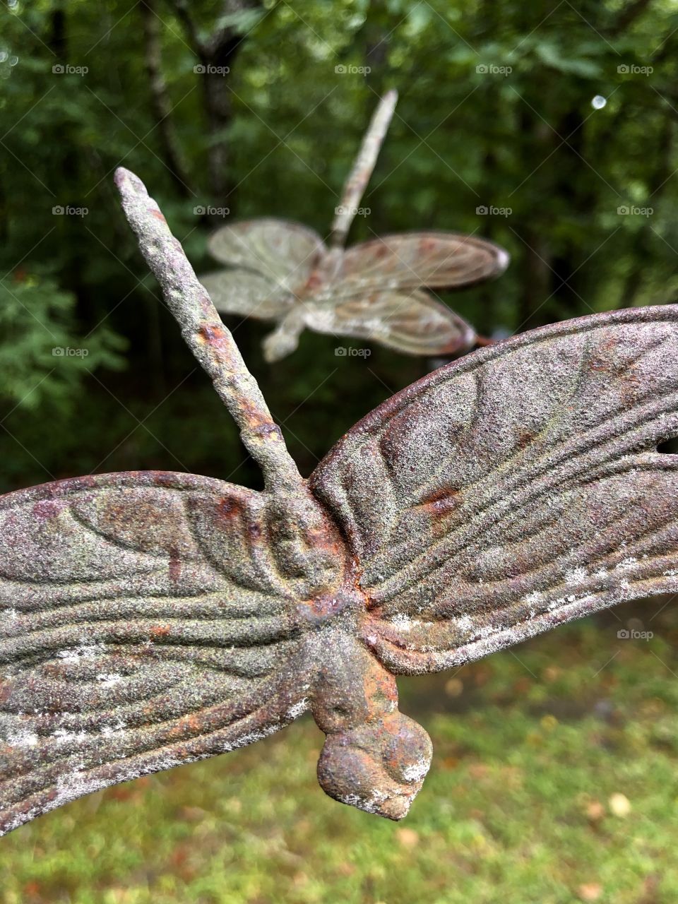 Rusty metal dragonfly garden ornament 