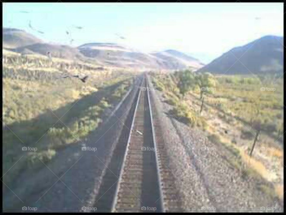 Nevada Desert Tracks