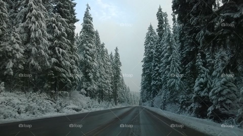 Snowy highway