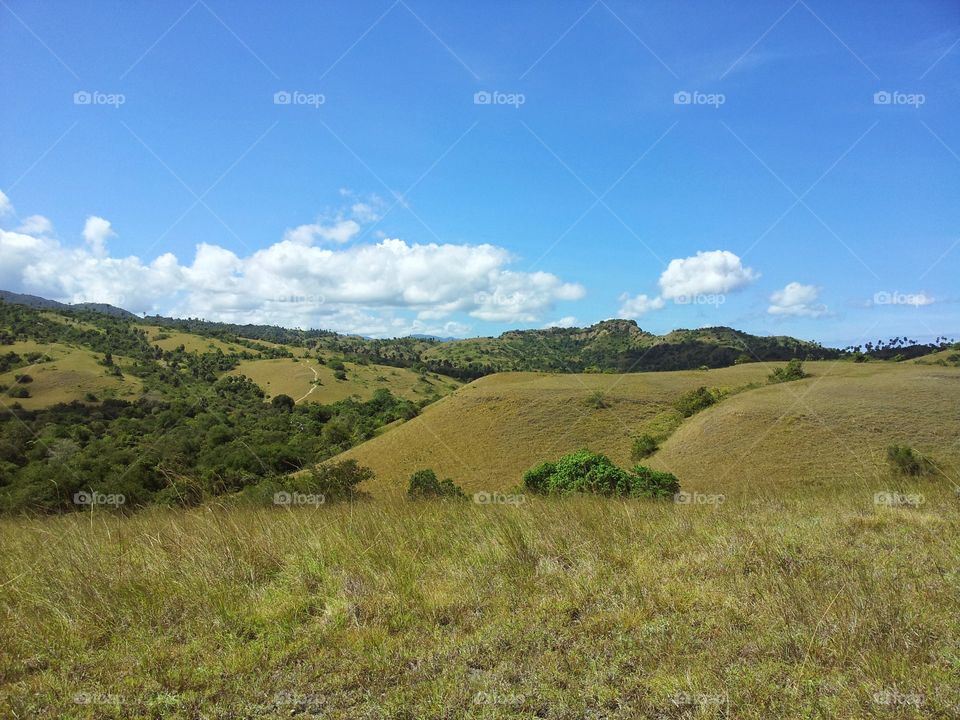 Savanah at Rinca Island, Indonesia.