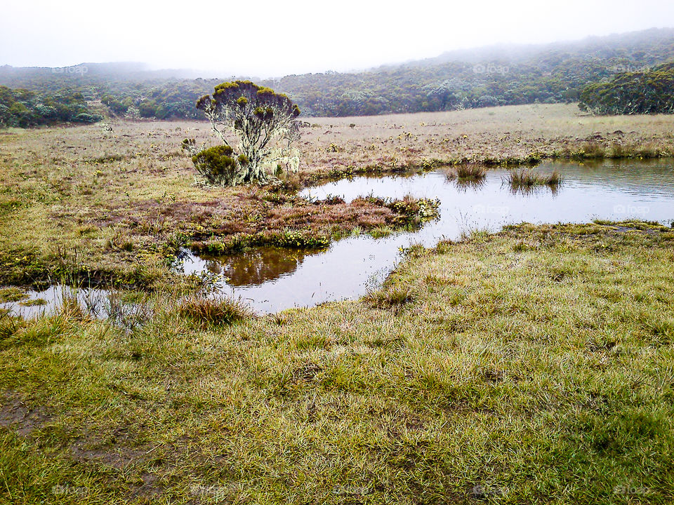 Wet part of La Réunion