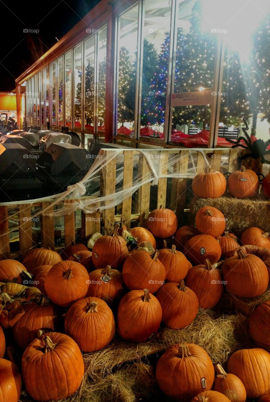 Summer, Autumn, Winter