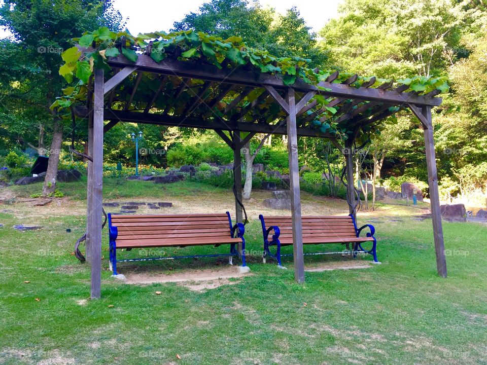 Benches in the garden. 