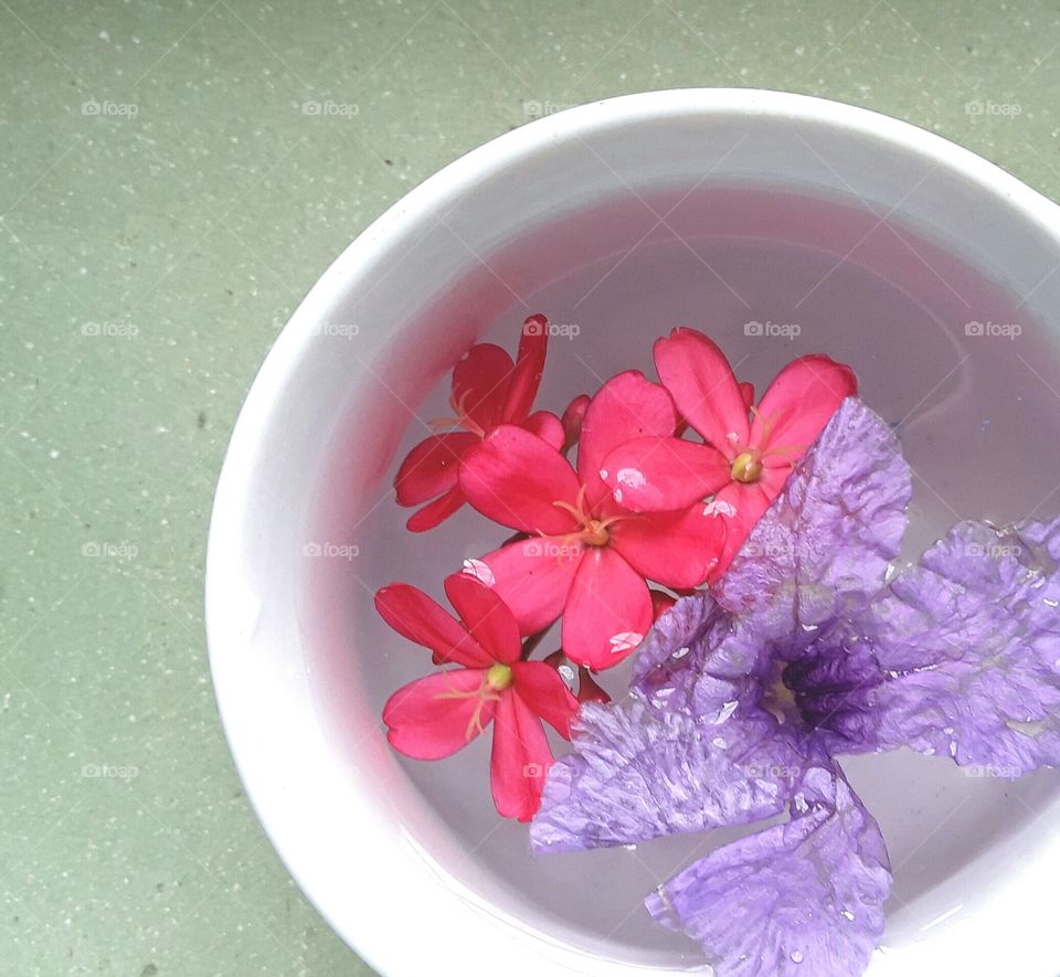 creative texture:Natural flowers in water
