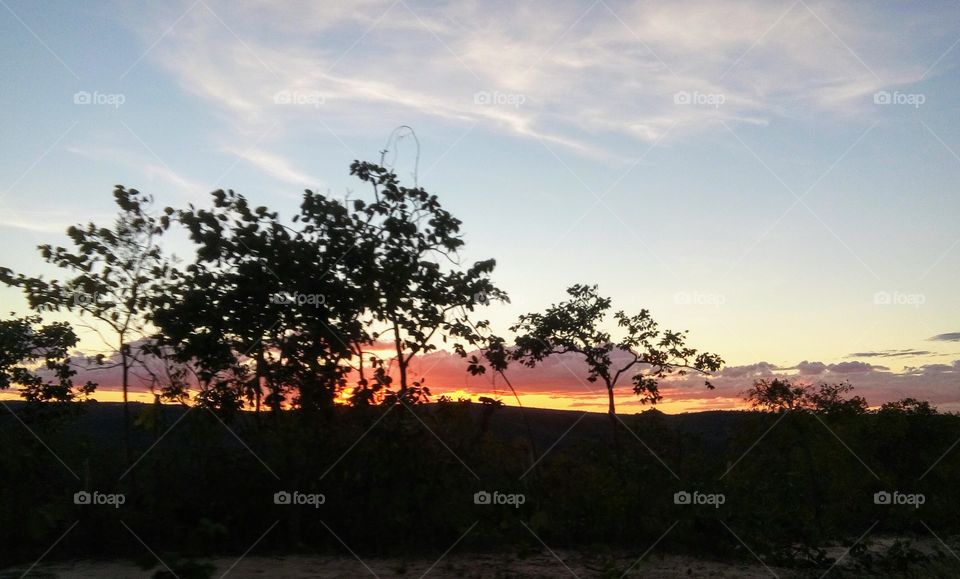 A natureza é encantadora...